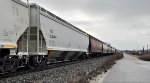 AOK 600494 is new to rrpa.